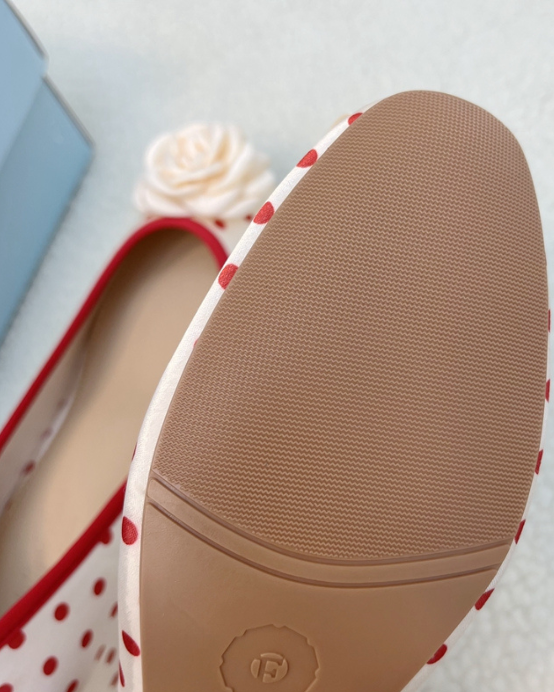 Retro Ballet Rose Pumps