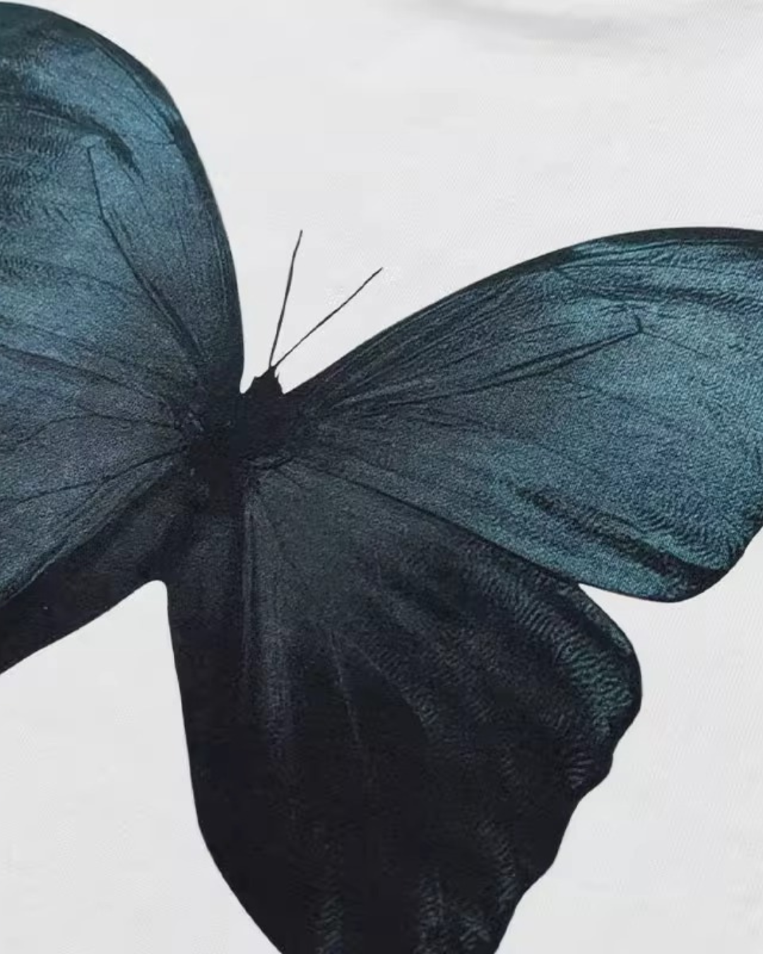 Butterfly Over T-shirt